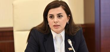 “Azərbaycan və Gürcüstan münasibətləri region üçün uğurlu nümunə kimi çıxış edir”