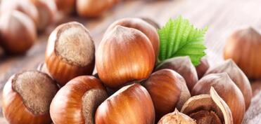 Azərbaycanın meşə fındığı ixracından gəlirləri 2 dəfə artıb