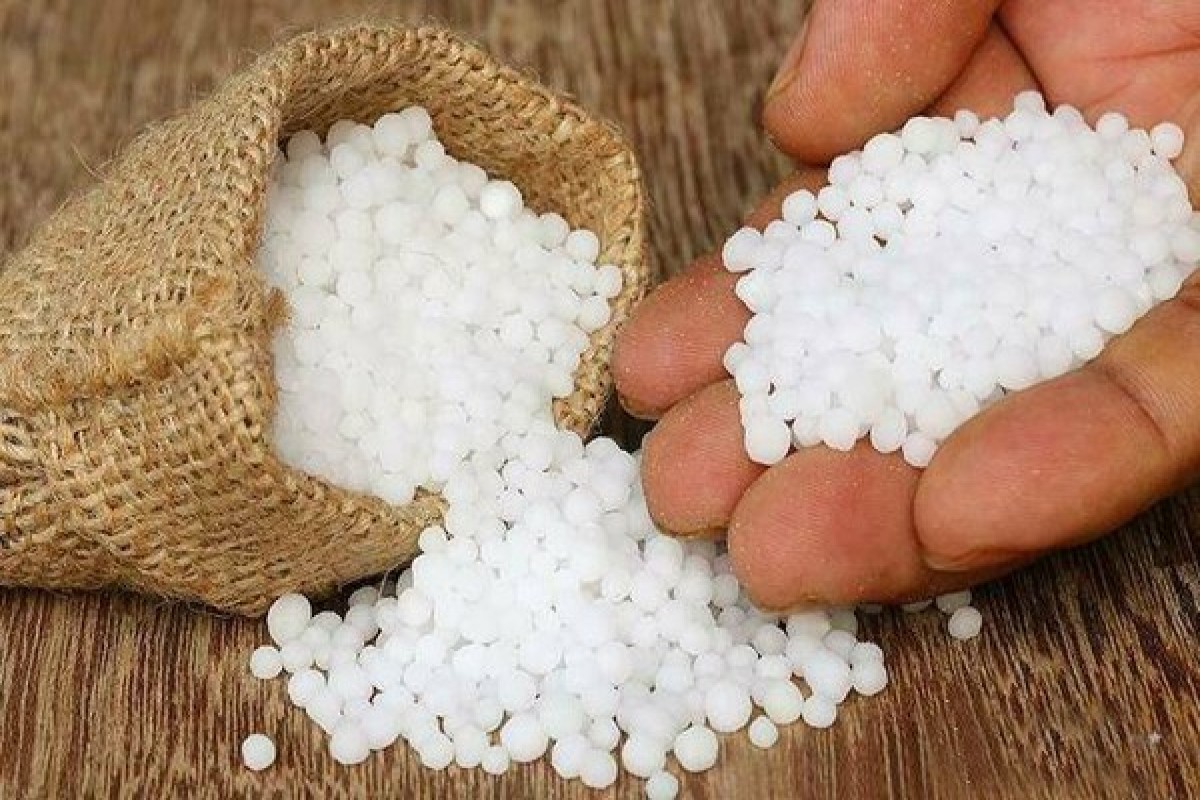 Azərbaycanın karbamid ixracından gəlirləri 40% azalıb