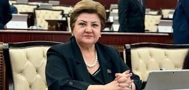 “Böyük Qayıdış davamlı inkişafın təminatıdır”