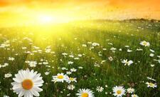 Sabahın havası açıqlandı