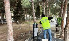 Paytaxtin qəsəbələrində iməclik keçirilib