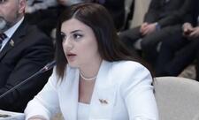 “ADF Azərbaycanın mövqeyini təqdim etməsi üçün effektiv platformadır”