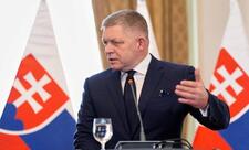 Fiko Drujba kəmərini Magyar ilə müzakirə etdi