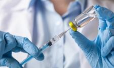 İnsanlar üçün nəzərdə tutulan vaksinlərin idxalı 7 dəfəyə yaxın artıb