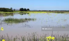 ADSEA: Hazırda Kürdə suyun səviyyəsində azalma müşahidə olunur