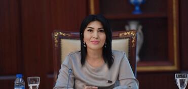 Elnarə Akimova: “Onlayn tədris strateji dövlət refleksidir”