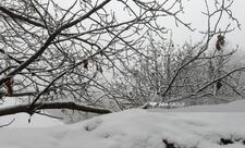 Daşkəsən və Gədəbəydə yüksək dağlıq ərazilərə qar yağıb - FAKTİKİ HAVA