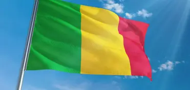 Malidə şok hücum: Müdafiə naziri həlak oldu