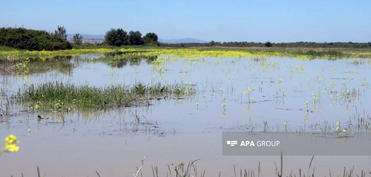 Dövlət Su Ehtiyatları Agentliyi Kür çayında mövcud vəziyyət barədə məlumat yayıb