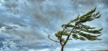 Yağıntılı və küləkli hava davam edir - FAKTİKİ HAVA
