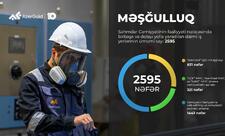 “AzerGold”un birinci rübdə ümumi satış gəlirləri 18% artıb