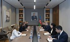 XİN rəhbəri: Azərbaycan regionda hərbi əməliyyatlar fonunda humanitar prinsiplərə sadiqdir