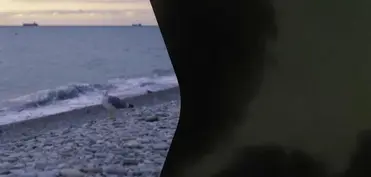Tuapsedə dəniz terminalına yenidən dron hücumu edilib