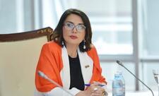 “Bu cür yanaşmalar regional əməkdlığa zərbə vurur”