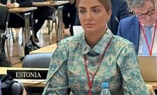 “Milli Məclisin qərarı Azərbaycanın müstəqil xarici siyasət kursunun davamıdır”