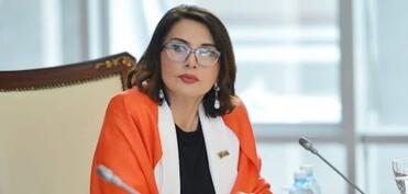 “Bu cür yanaşmalar regional əməkdlığa zərbə vurur”