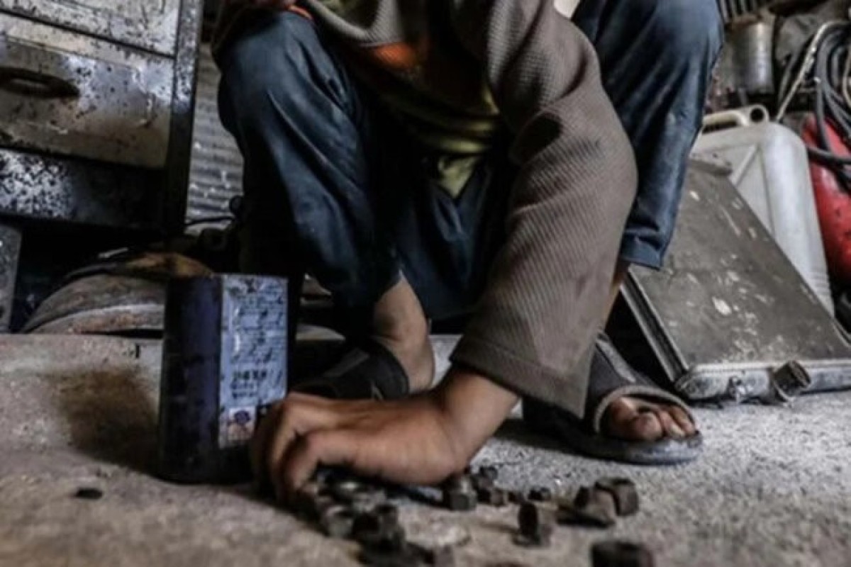 15 yaşına çatmamış şəxsin işə cəlb edilməsi ilə bağlı 6 fakt aşkarlanıb