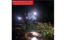 Yol polisi: Ağac yola aşıb, maşınların hərəkətində çətinlik yaranıb