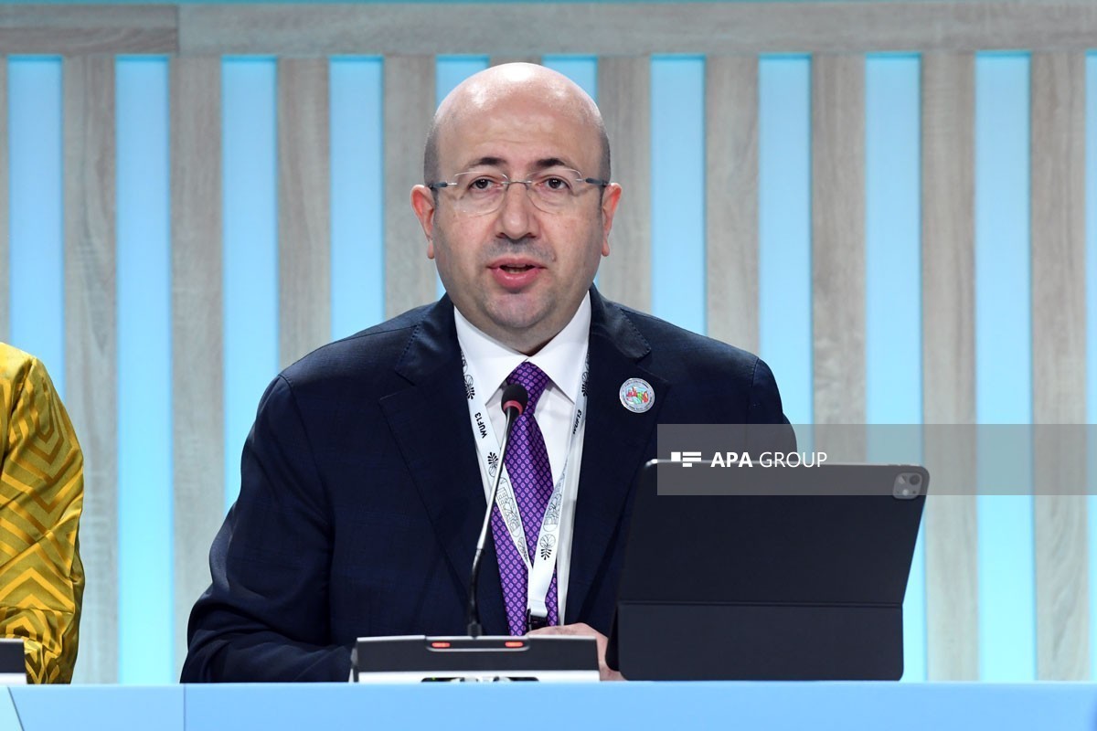 Anar Quliyev: Qarabağdakı bərpa işləri bir çox beynəlxalq qurum üçün böyük maraq doğurur