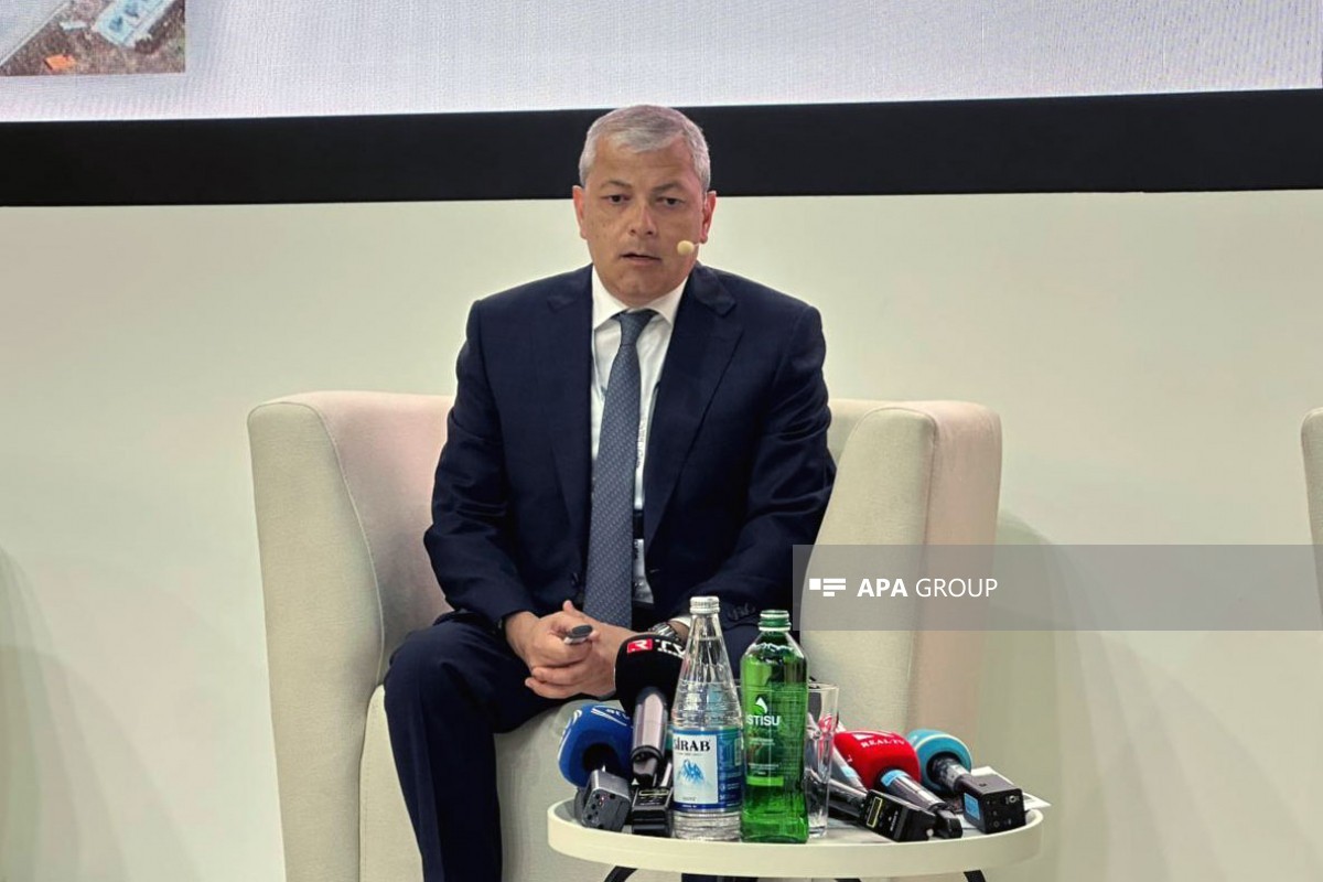 Azad edilmiş ərazilərə xarici investorların nə zamandan investisiya yatıra biləcəyi məlum olub