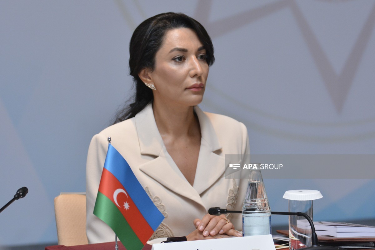 Ombudsman: Şəhərin inkişaf göstəricisi insan üçün nə dərəcədə əlçatan, təhlükəsiz olmasıdır