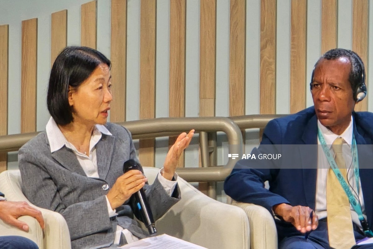 ADB: Turist axınının yönləndirilməsi yeni yaşayış məntəqələri yarada bilər