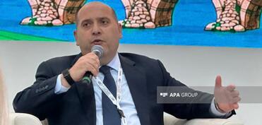 Ağdam, Xocavənd və Füzulinin neçə faizinin minalardan təmizləndiyi məlum olub