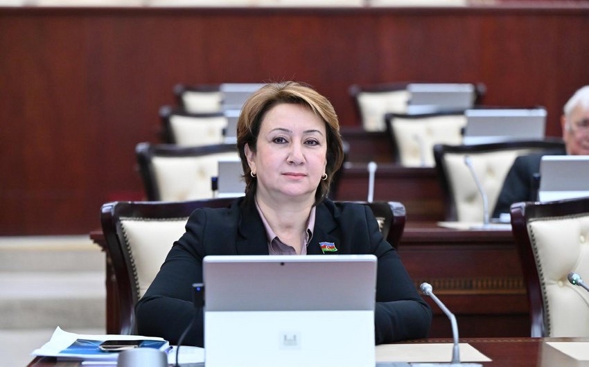 “Qarabağ “ağıllı şəhər” konsepsiyasının mərkəzinə çevrilir”