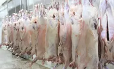 Məcnun Məmmədov: Ət istehsalımız istehlakı qarşılaya bilmir