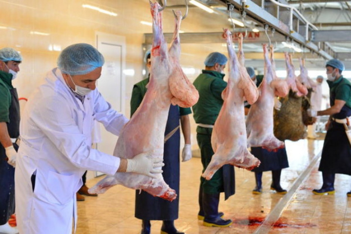 Azərbaycan baytarlıq preparatları istehsal edəcək