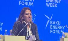 EBRD: Azərbaycanda 1,2 qiqavat bərpa olunan enerji gücünü maliyyələşdirmişik