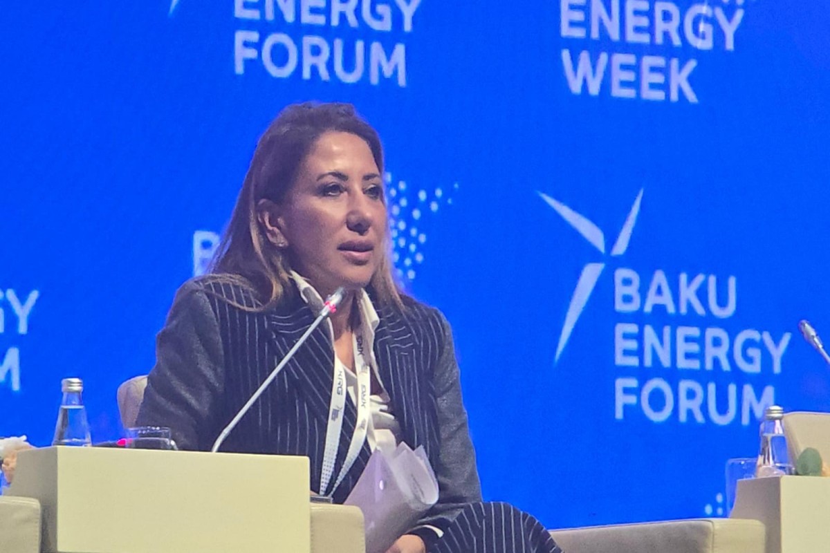 EBRD: Azərbaycanda 1,2 qiqavat bərpa olunan enerji gücünü maliyyələşdirmişik