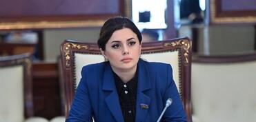 “Onlar regionda sabitlik istəyirsə, sülhə səs verməlidir, nəinki revanşistlərə”