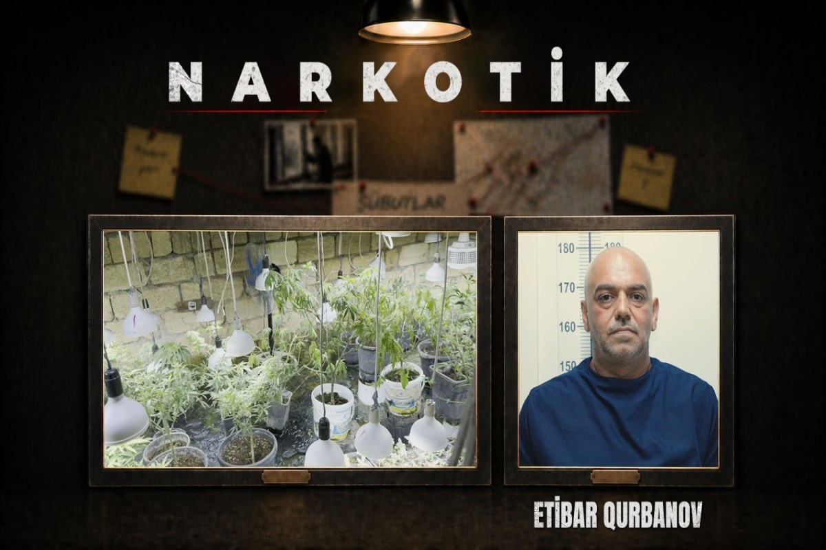 Novxanıda narkobunker aşkarlanıb - VİDEO