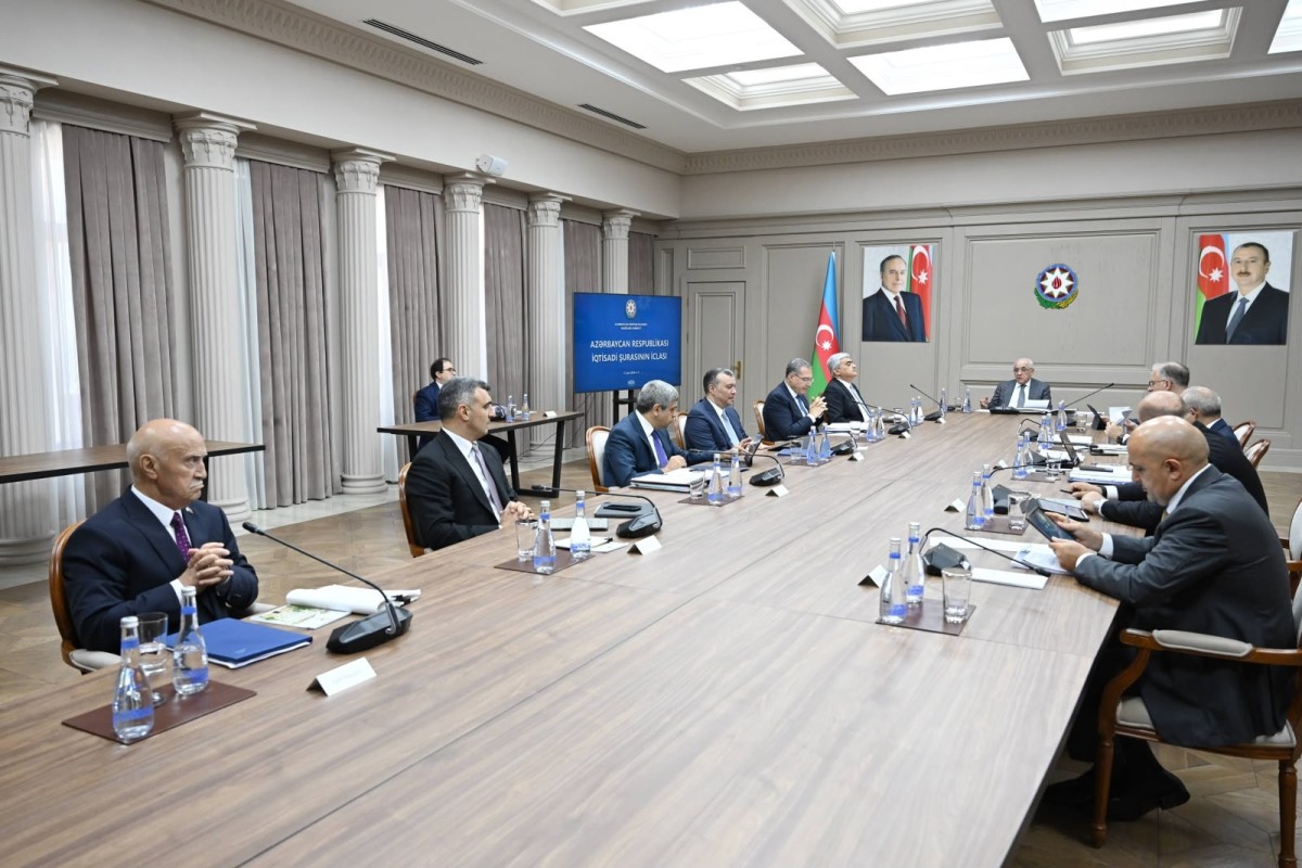 İqtisadi Şurada Ələt Azad İqtisadi Zonası və Xidmət sektoruna dair müzakirə aparılıb