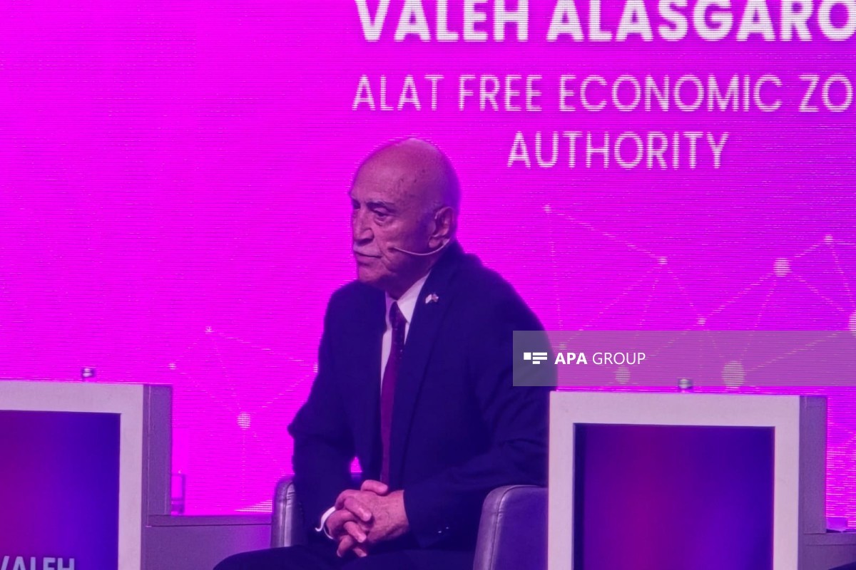Valeh Ələsgərov: Ələt Azad İqtisadi Zonasının yanaşmasına görə bəzən tənqid olunuruq
