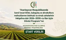 İsmayıllıda Dağlıq Şirvan iqtisadi rayonu üzrə aqrar sahədə yeni Dövlət Proqramının müzakirəsi keçirilir