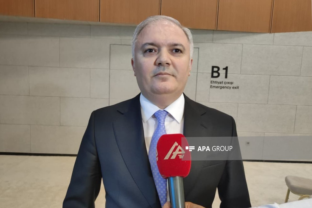 Xüsusi nümayəndə: Kəlbəcərdə aqrar sahənin inkişafı prioritet istiqamətlərdən biridir