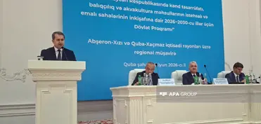 Nazir müavini: Dövlət Proqramı yalnız istehsal istiqamətlərini deyil, onları dəstəkləyən tədbirləri də əhatə edir