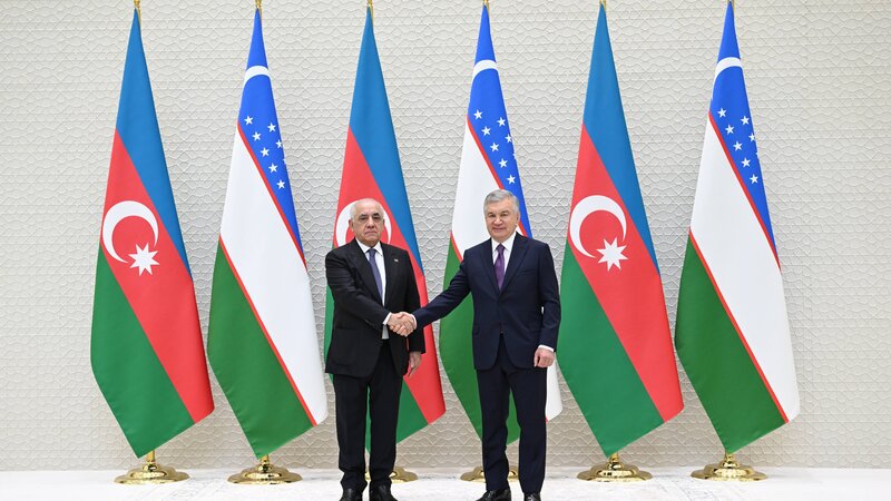 Əli Əsədov Özbəkistan Prezidenti ilə görüşüb