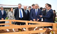 Xocalıda heyvandarlıq kompleksi ilə tanışlıq olub