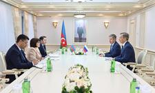 Milli Məclisin sədri Rusiya Federasiya Şurası sədrinin birinci müavini ilə görüşüb