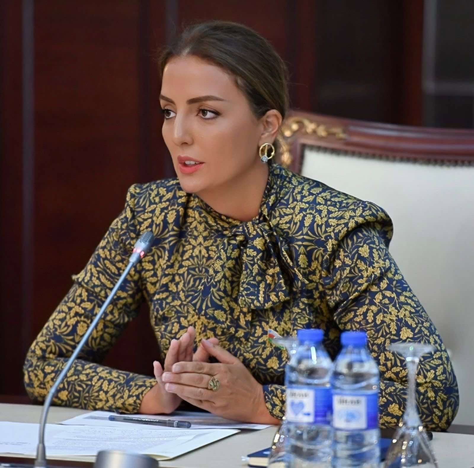“Azərbaycançılıq milli kimliklə müasir inkişafın vəhdətidir”