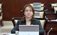 “Azərbaycançılıq gənclərin gələcəyinə yön verən ideologiyadır”