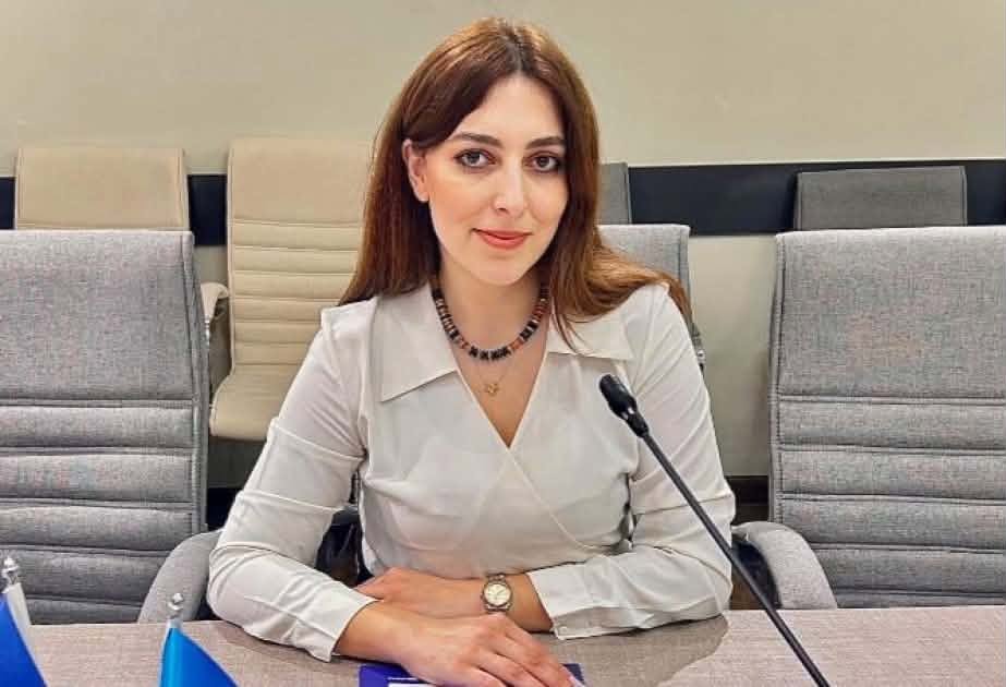 “Bu müharibədə həlledici amil qlobal güclərin razılaşmasıdır”