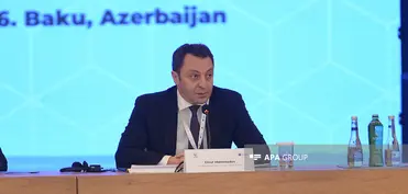 Nazir müavini: Azərbaycan itkinlərlə bağlı təşəbbüs və layihələri dəstəkləyib, proses bundan sonra da davam edəcək