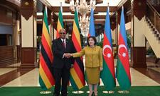 Milli Məclis və Zimbabve Milli Assambleyasının sədrlərinin görüşü olub