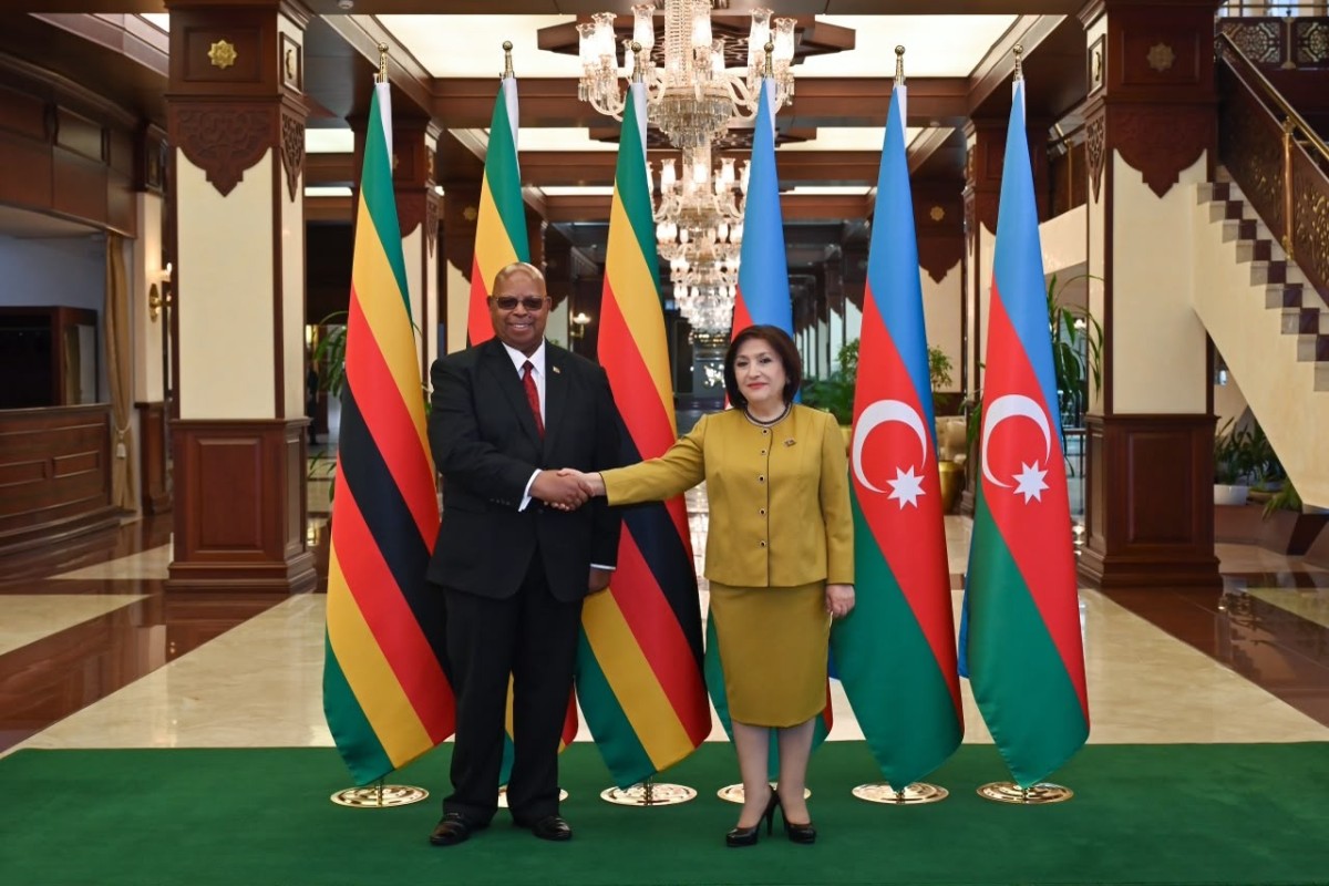 Milli Məclis və Zimbabve Milli Assambleyasının sədrlərinin görüşü olub