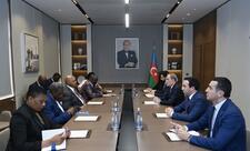 Azərbaycan XİN rəhbəri Zimbabve Milli Assambleyasının sədri ilə görüşüb